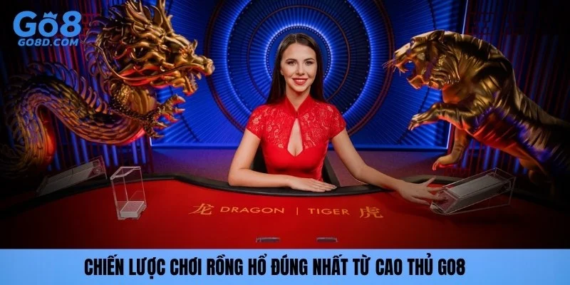 Chiến lược chơi rồng hổ đúng nhất từ cao thủ GO8