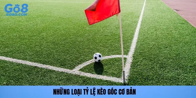 Những loại tỷ lệ kèo góc cơ bản